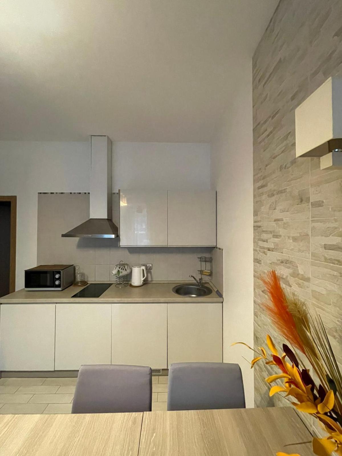 Taikos Apartmentai 2 드루스키닝카이 외부 사진